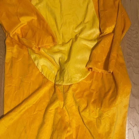 Disney Lion King Bodysuit Costume Large XL Simba Mufasa Halloween Cruise Park - Picture 4 of 9